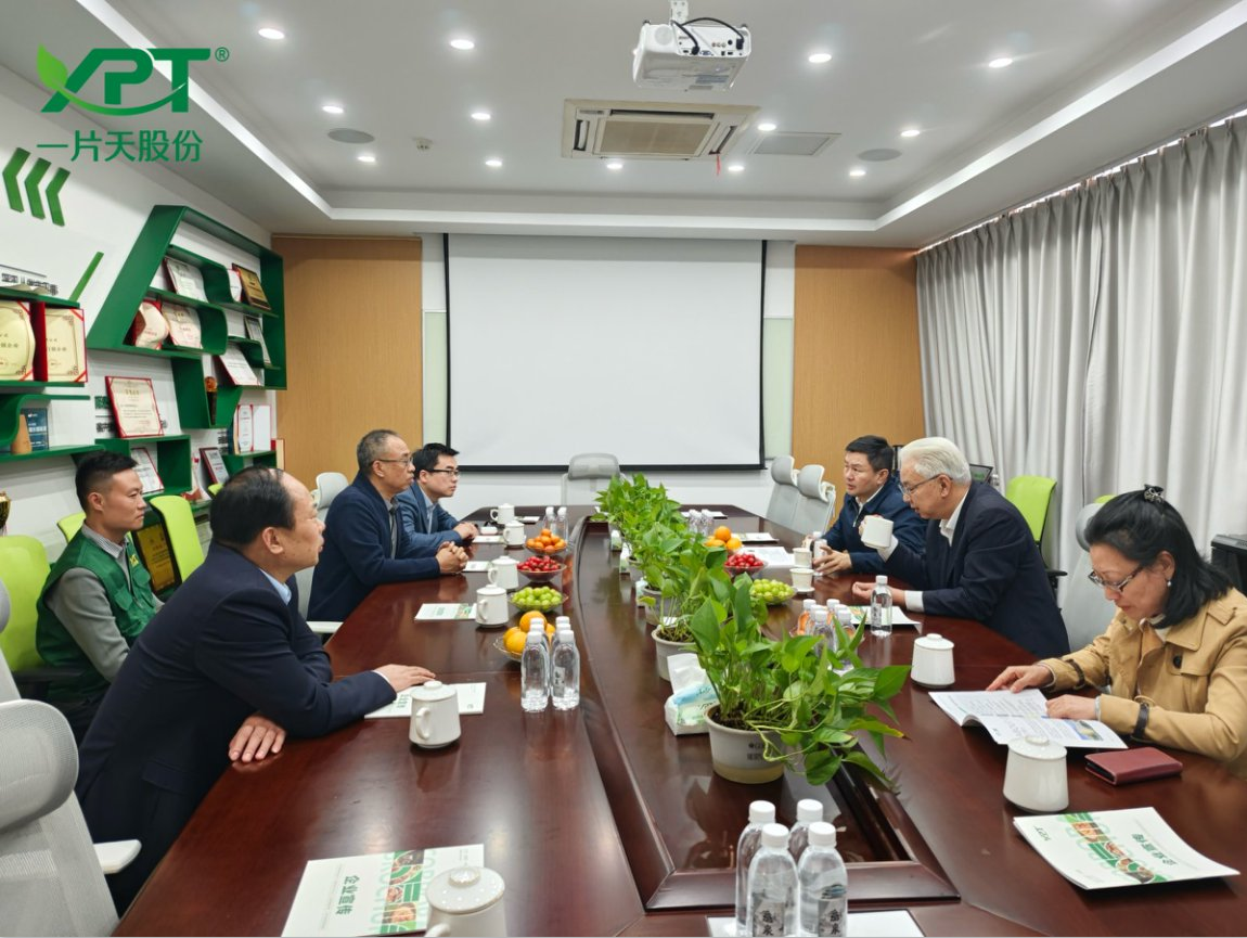 一片天公司会议室内开展治理与业务沟通会议